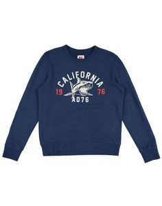 Толстовка American Outfitters