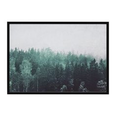 БЬЁРКСТА Картина с рамой, Кроны деревьев, черный Ikea