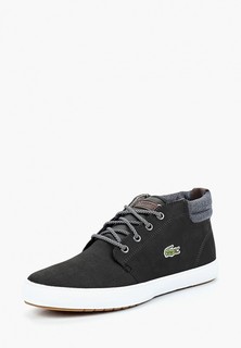 Кеды Lacoste AMPTHILL TERRA 318 1