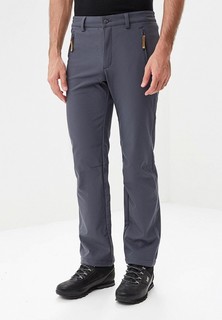 Брюки утепленные Icepeak SANI