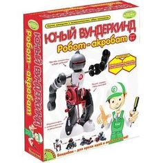 Bondibon Французские опыты Науки с Буки Юный вундеркинд Робот-акробат (ВВ0989)