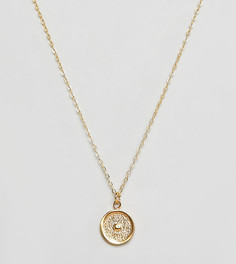 Позолоченное ожерелье с подвеской-диском в виде солнца Ottoman Hands - Золотой