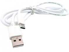 Аксессуар Walker C110 USB-Type-C White