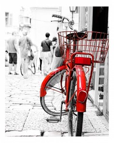 Панно (40х50 см) Красный велосипед 1717021К4050 Ekoramka