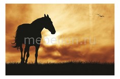 Панно (60х40 см) Лошадь 118687838 Ekoramka