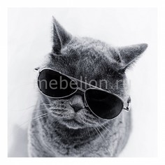 Панно (30х30 см) Кот 1806026К3030 Ekoramka