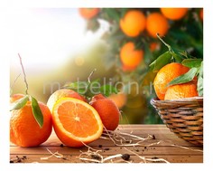 Панно (50х40 см) Апельсины 1744021К5040 Ekoramka