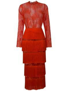 кружевное платье с многоярусным дизайном и бахромой Daizy Shely