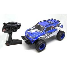 Радиоуправляемый Джип YED YED Monster Truck 4WD 1:10 2.4G - YE81506
