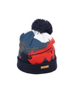 Головной убор Barts