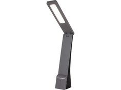 Настольная лампа Elektrostandard TL90450 Desk Black-Grey