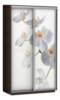 Шкаф-купе Экспресс Фото 2 Белая орхидея E-1
