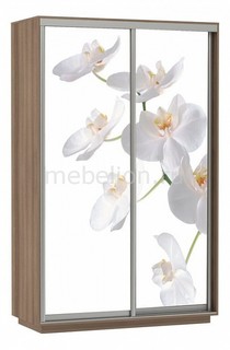 Шкаф-купе Экспресс Фото 2 Белая орхидея E-1