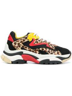 leopard lace-up sneakers Ash