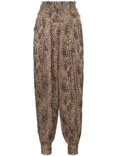 жаккардовые брюки с леопардовым принтом Alessandra Rich