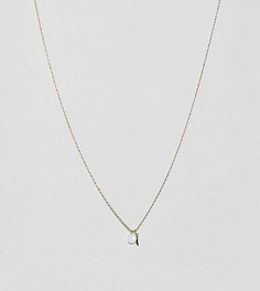 Позолоченное ожерелье с подвеской-клыком и опалом Orelia - Золотой