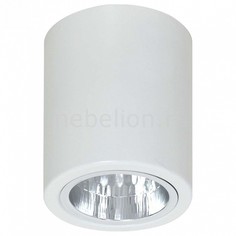 Накладной светильник Downlight Round 7234 Luminex