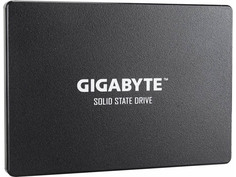 Жесткий диск GIGABYTE GP-GSTFS31240GNTD