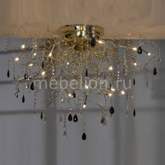 Потолочная люстра Benevento LSC-2913-19 Lussole