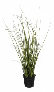 Растение в горшке (37 см) Трава 58005400 Home Religion