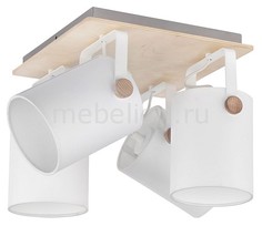 Спот 1615 Relax White 4 TK Lighting