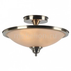 Светильник на штанге Safari A6905PL-2AB Arte Lamp