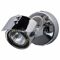 Спот Алгол 506021501 Mw Light