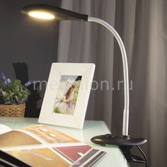 Настольная лампа офисная Captor a038018 Elektrostandard