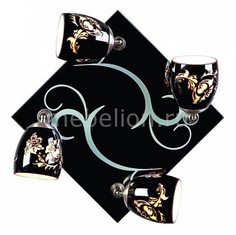 Спот OM-223 OML-22312-04 Omnilux