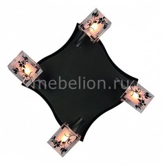 Спот OM-214 OML-21401-04 Omnilux