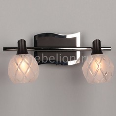 Спот OM-218 OML-21801-02 Omnilux