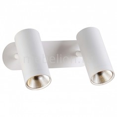 Спот Racalmuto OML-20201-02 Omnilux