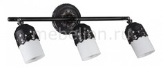 Спот Renda SP562-CW-03-R Maytoni