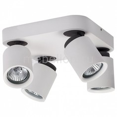 Спот Астор 545020704 Mw Light