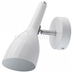 Спот Астор 545022401 Mw Light