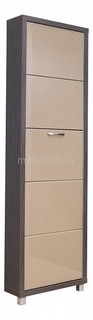 Шкаф для обуви Айрон Люкс 5с Airon