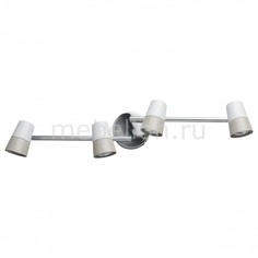 Спот Айс 542020604 Mw Light