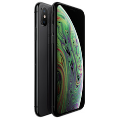 Смартфон Apple iPhone XS 64GB Space Grey (MT9E2RU/A)