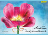 Альбом для рисования Silwerhof 911153-74 40л. A4 Акварельный цветок 2диз. мел.картон офс.лак склейка