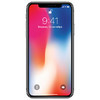 Смартфон APPLE iPhone X 256Gb, MQAF2RU/A, серый