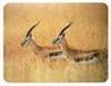 Коврик для мыши BURO BU-M40077 рисунок/антилопы
