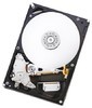 Жесткий диск HGST NAS H3IKNAS400012872SWW, 4Тб, HDD, SATA III, 3.5&quot; [0s04005]