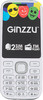 Мобильный телефон GINZZU M201, белый/серый