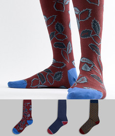 Набор из 3 пар носков в подарочной упаковке Ted Baker - Мульти