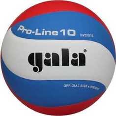 Мяч волейбольный Gala Pro-Line (BV5121S)