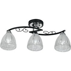 Потолочная люстра IDLamp 232/3PF-Blackchrome