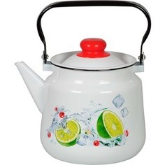 Чайник эмалированный 3.5 л СтальЭмаль Мохито (1с26с)
