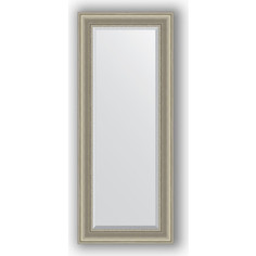 Зеркало с фацетом в багетной раме поворотное Evoform Exclusive 56x136 см, хамелеон 88 мм (BY 1255)