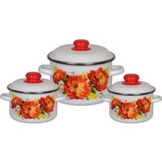 Набор кастрюль 3 предмета СтальЭмаль №19 Пионы (1КВ191М)