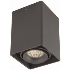 Потолочный светильник Donolux DL18611/01WW-SQ Shiny black